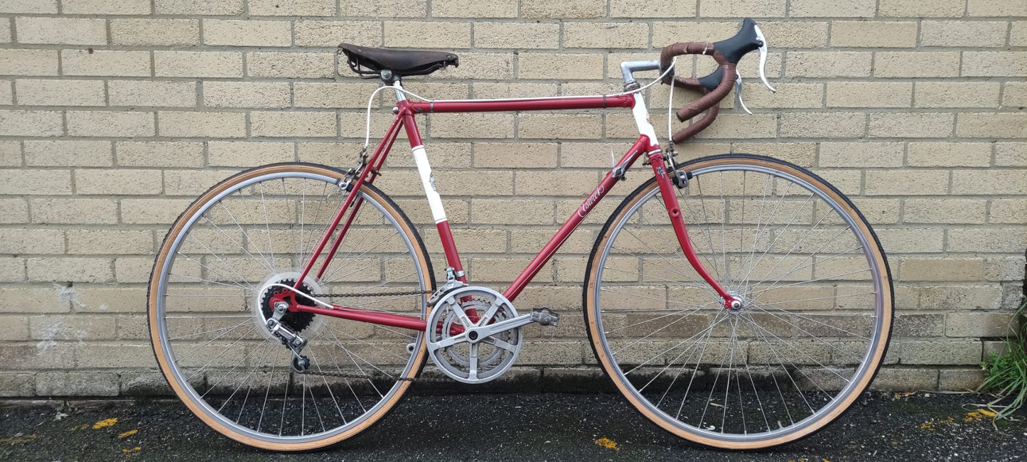 Raleigh Elswick 23”