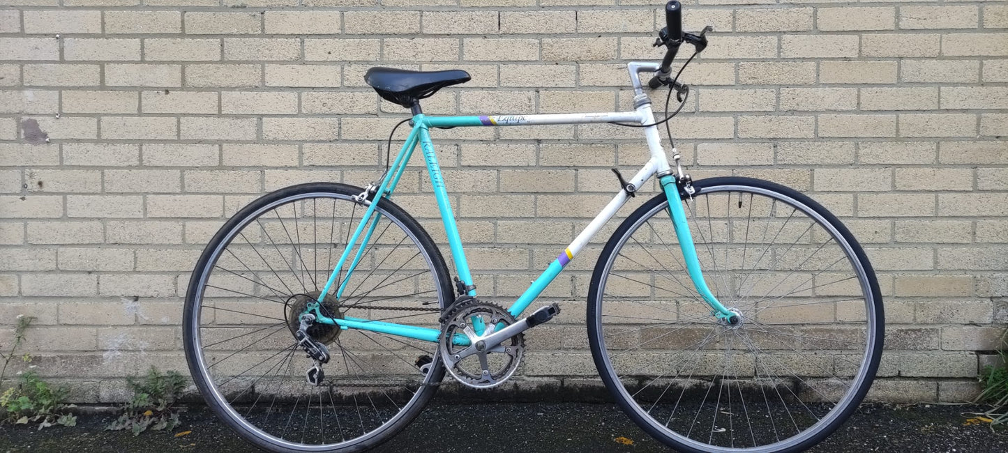 Raleigh Eripe 23”